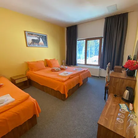 Hotel Forest Star On The Ski Slope Borovets Exterior photo