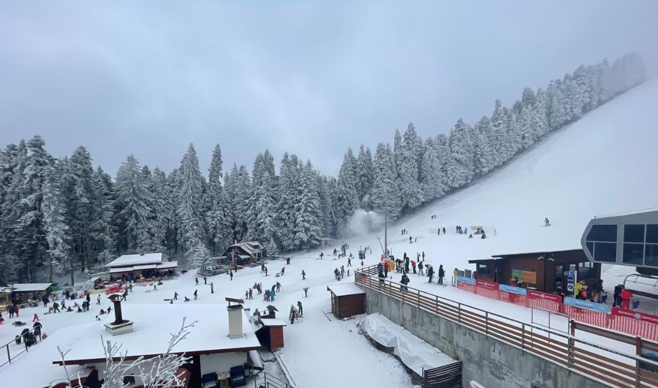 Forest Star On The Slope Ξενοδοχείο Μπόροβετς