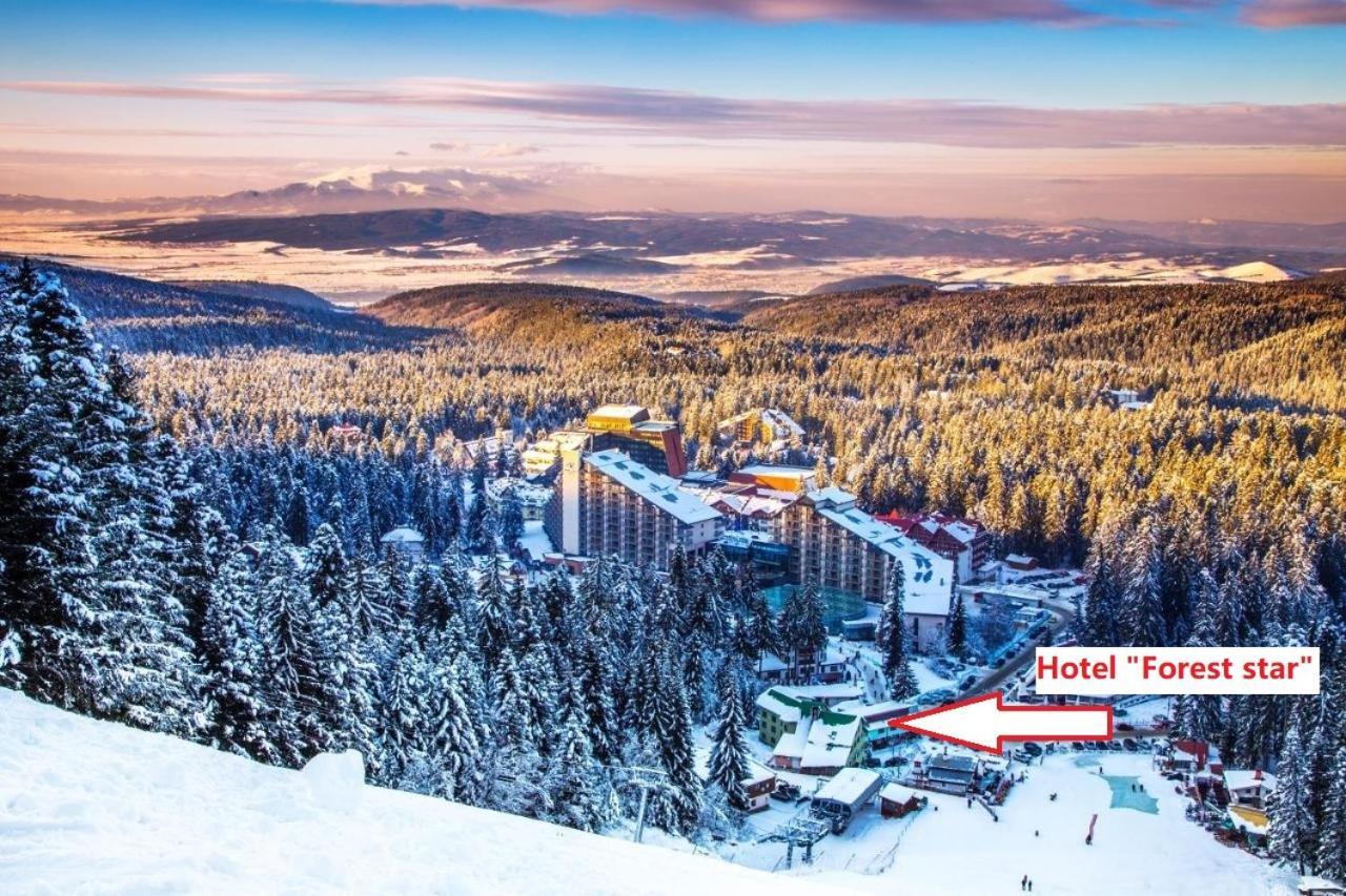 Forest Star On The Slope 2* Borovets