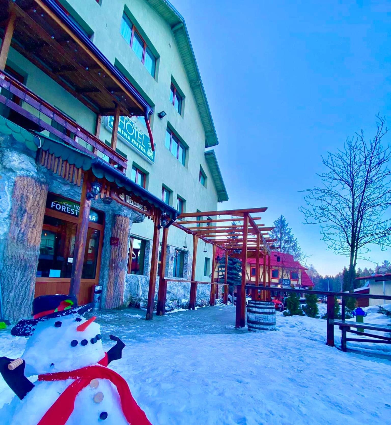Hotel Forest Star On The Slope 2*